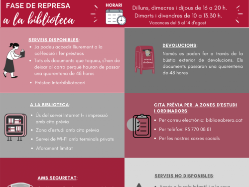 Copia de Infografia Represa a la biblio